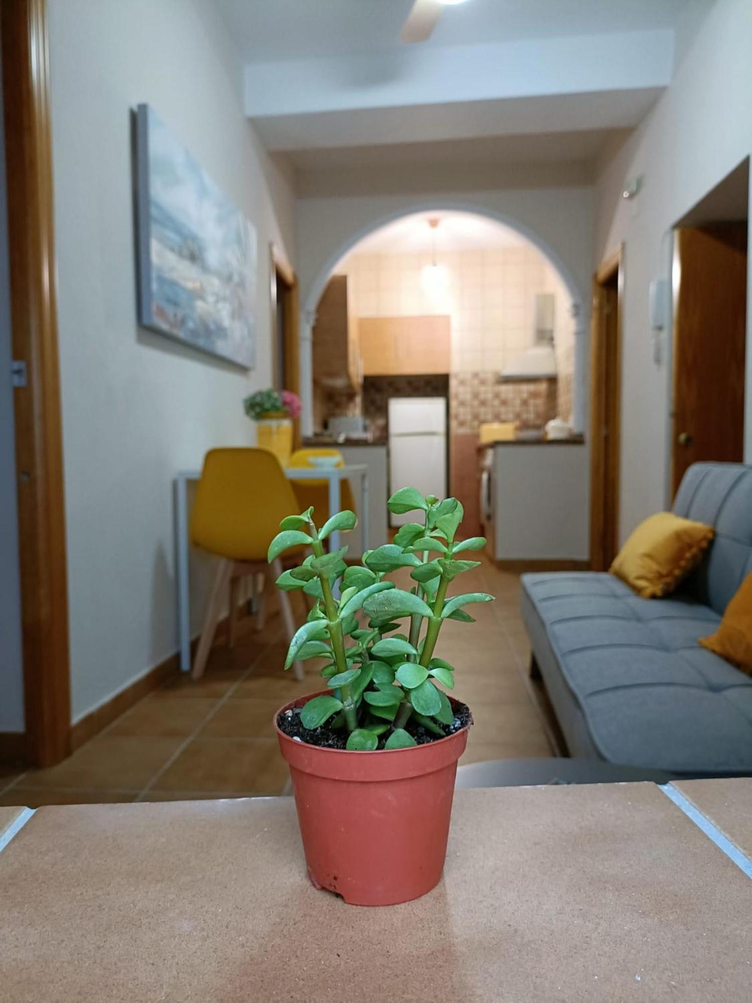 Апартаменты Casa Amalfi, Coqueta Casa Centro Historico De Vejer Вьер де ла Фронтера Экстерьер фото